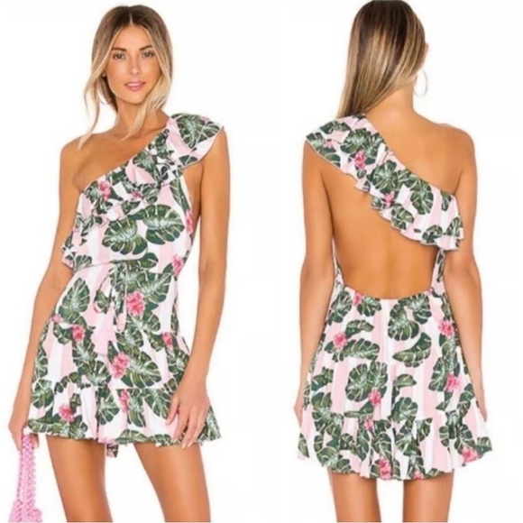 Lovers + Friends Pink and Green Floral miniDress S